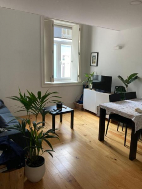 Отель Apartamento City Center  Atiães